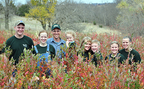 Wiley family in nursery full of large blueberry vines for sale